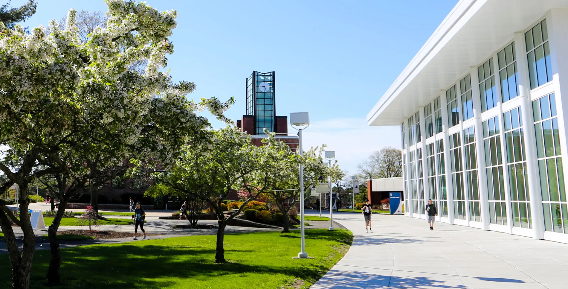 occ campus in the spring with trees blooming and clock tower in the background