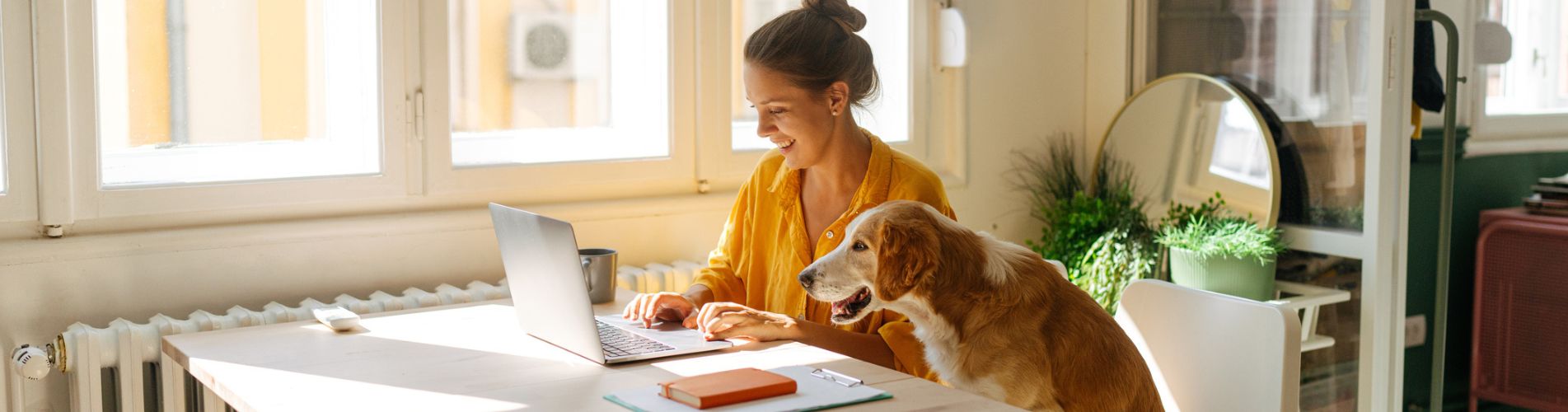 e-learning at home with dog